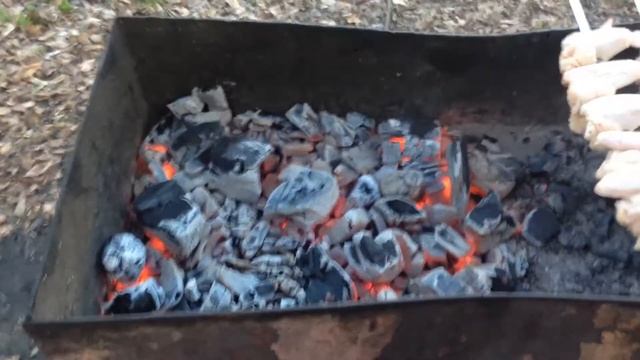 Шашлык из куриных крыльев рецепт смотреть онлайн