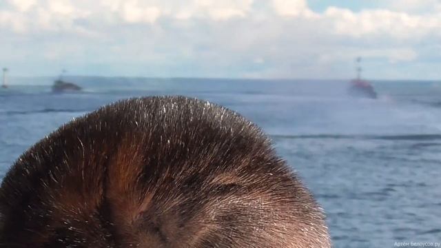 Репетиция парада ко Дню Военно-Морского Флота 28.07.2022 в Балтийске! смотреть онлайн