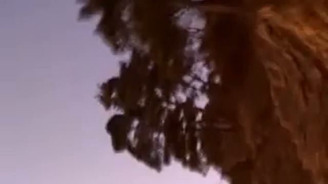 31-08-08Кавказ. Геленджик.Джанхот. Побережье. Закат. смотреть онлайн