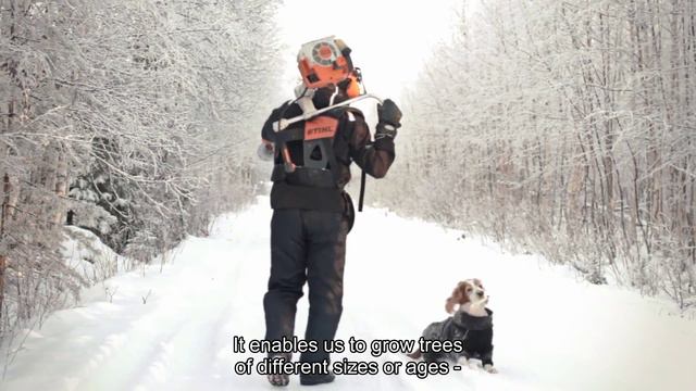 Forest runs in the family смотреть онлайн