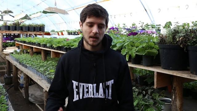 Умные Стройки