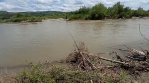 УСАЧ ПО МУТНОЙ ВОДЕ\ловля усача на лабе