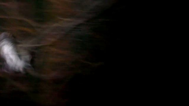 Серая неясыть 20 Марковское Весна 2021 года смотреть онлайн