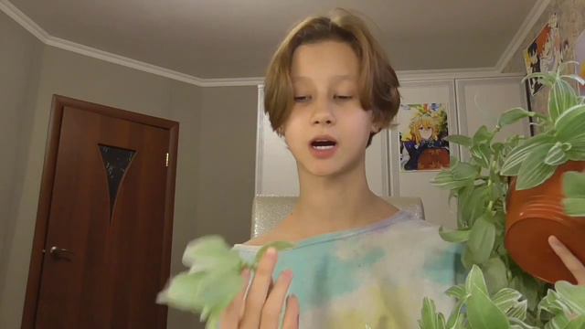 Сажаю комнатные цветы 🌷 #комнатныецветы смотреть онлайн