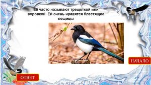 Авторская интерактивная дидактическая игра-викторина «Зимующие птицы»(стар. дош.в.)