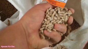 ЧЕМ кормить КРОЛИКОВ.КАК КОРМИТЬ БЕРЕМЕННУЮ КРОЛЬЧИХУ.