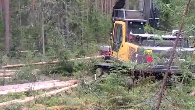 Экскаватор Volvo EC220 с харвестерной головкой смотреть онлайн