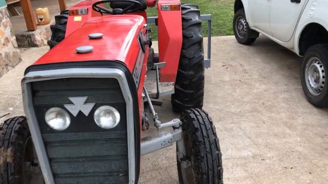 KIWI ХЕЙВОРД ИСПАНИЯ (Бактериосис весной на цветах) MASSEY FERGUSON 247 смотреть онлайн