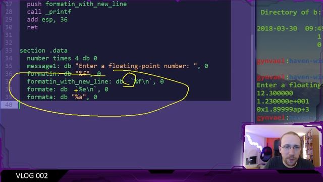 Vlog #002: asm, printf and a simple bug смотреть онлайн