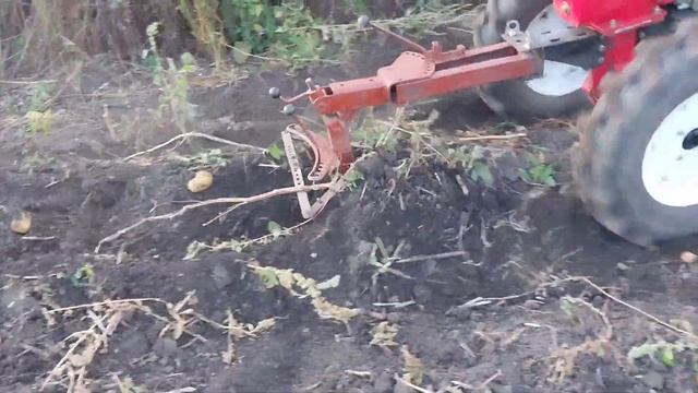 Плуг пц-1-18 установлен на мотоблок Брайт 135 .Копаем картофель смотреть онлайн