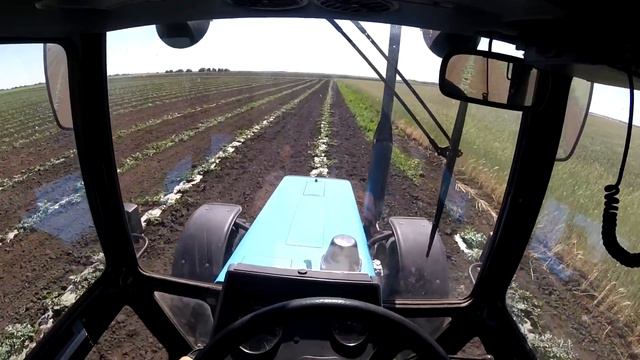 Культивация 12 06 20 смотреть онлайн
