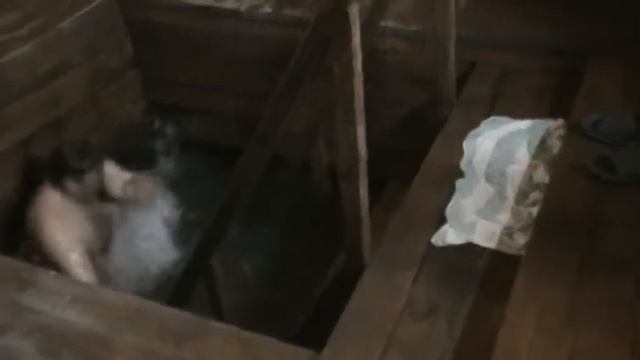 Крещение, 2015 г. Источник Св. Параскевы Старая Жуковка. смотреть онлайн