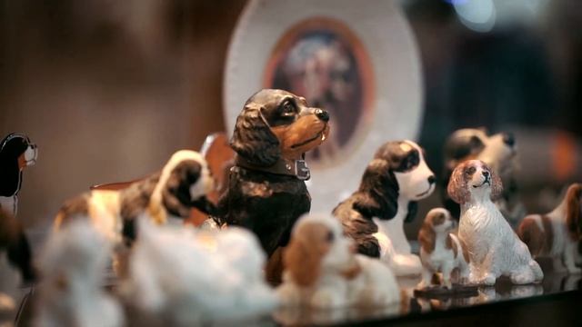 Международная выставка собак – 2020 смотреть онлайн