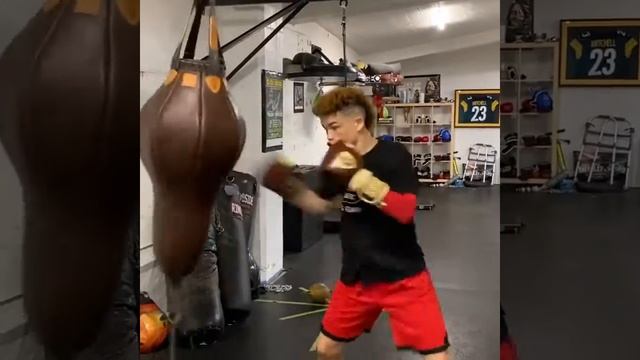 Guard Punching Bag by Grodex смотреть онлайн