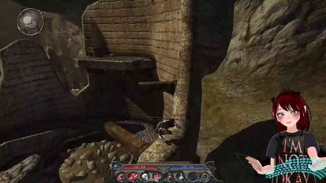 Прохождение Divinity 2 Developers Cut/Кровь дракона(Ego Draconis)Часть 23 Драконопоклонники.