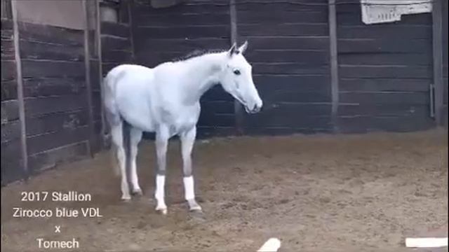 Ad ref: 227855 смотреть онлайн