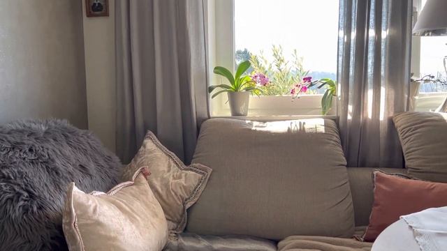 ЗАБОЛЕЛИ ?Я И ПАША?СОВСЕМ НЕТ ЖЕЛАНИЯ?♀️А ЧТО ЖЕ ДАЛЬШЕ?НАВЕРНОЕ НЕ КУДА?♀️Olga Kirchgessner смотреть онлайн