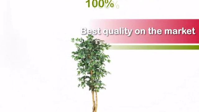 6 foot Ficus Tree: Potted - artificialplantsandtrees.com смотреть онлайн