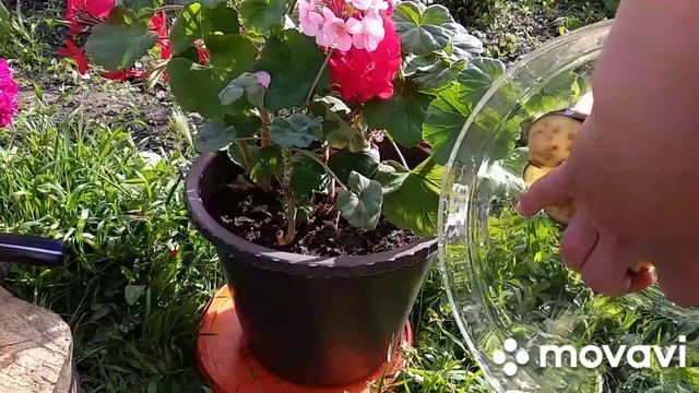 Азербайджанская национальное кухня Аджапсандали.Azərbaycan mətbəxi Əcəb sandal yeməyi. смотреть онлайн