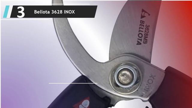 ✅ Las Mejores Tijeras De Podar 2022 - (Top 5) смотреть онлайн