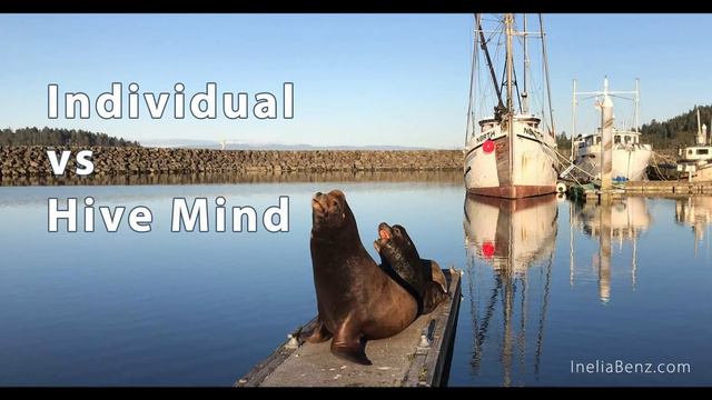 How Are You Controlled By The Hive Mind