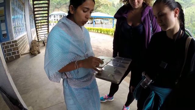 Про Шри-Ланкийские чаи смотреть онлайн