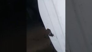 Снятие центрального замка Шевроле Лачети