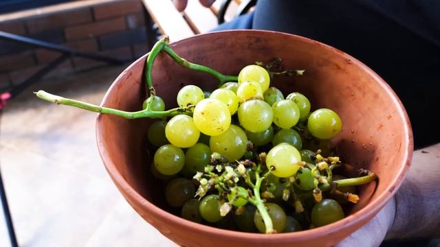 Who Loves Twister Catch the Recipe for Breakfast ?? смотреть онлайн