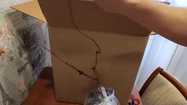 Распаковка посылки от "Опт-Хоз" смотреть онлайн