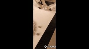 Мастер-класс по работе в технике "Квиллинг" - Композиция "Жар-птица"