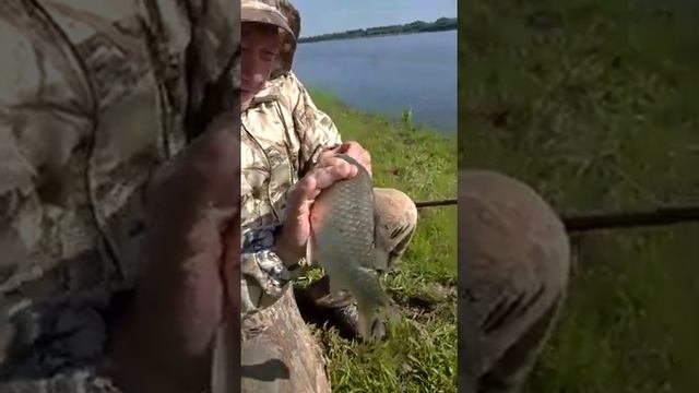 Селитренное, рыбалка на фидер на Ахтубе смотреть онлайн