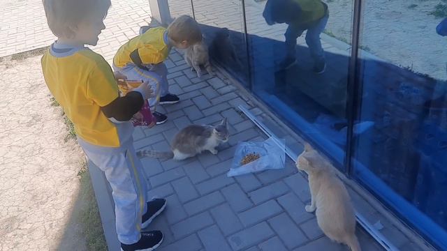 ЖДУ ВАШИХ СОВЕТОВ ,ДЕВОЧКИ😍 смотреть онлайн