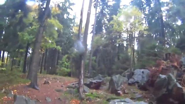 08-10-2017. 15-35. Devet skal/Девять скал, Ждярские горы, край Высочина. смотреть онлайн