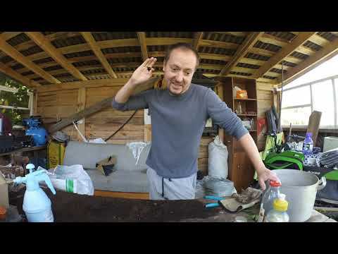 Извиняюсь перед беларусами и кое-что показываю смотреть онлайн