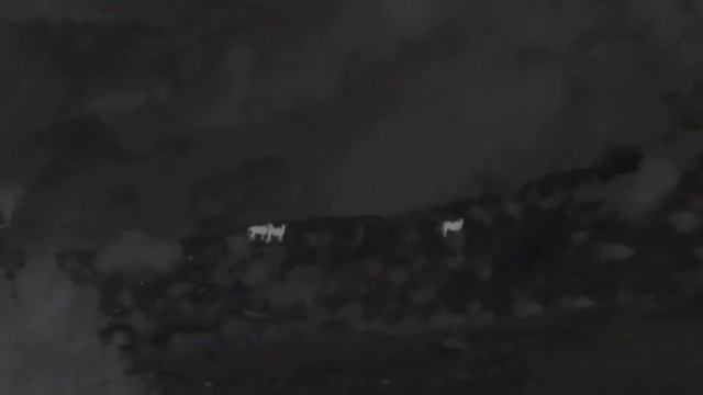 Guide TN 450 binoculars смотреть онлайн