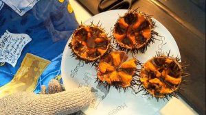 Как есть морских ежей