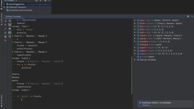 Fundamentals of Python Programming (Implementing Python Tuples) смотреть онлайн