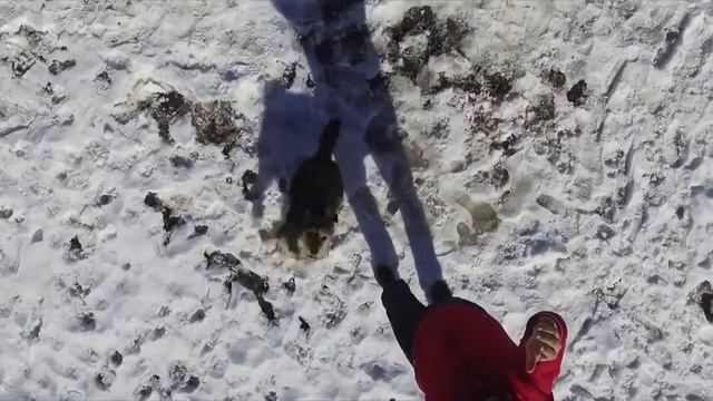 Автопутешествие по Самарскому краю. Сергиевский район, часть 1. ГК "АсАвто" (Самара). смотреть онлайн