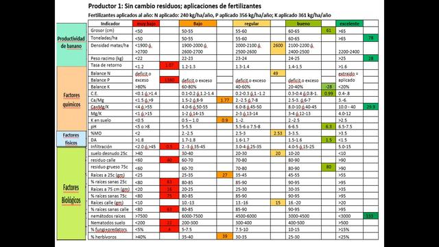 Descripcion del Proyecto Escalamiento BOXF смотреть онлайн