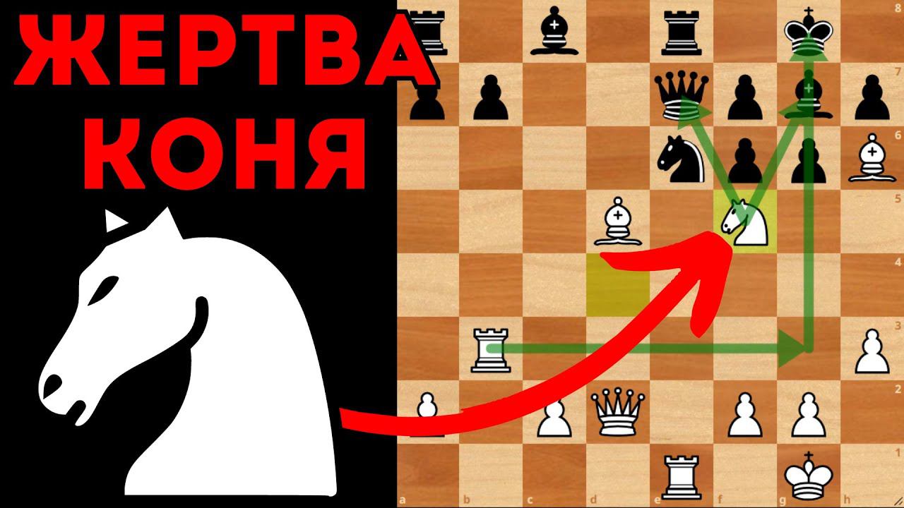 Жертва Коня для вскрытия подарка в виде Короля. Шахматы смотреть онлайн