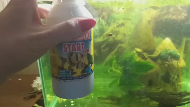 Полная чистка аквариума, подробное видео и секреты из личного опыта смотреть онлайн