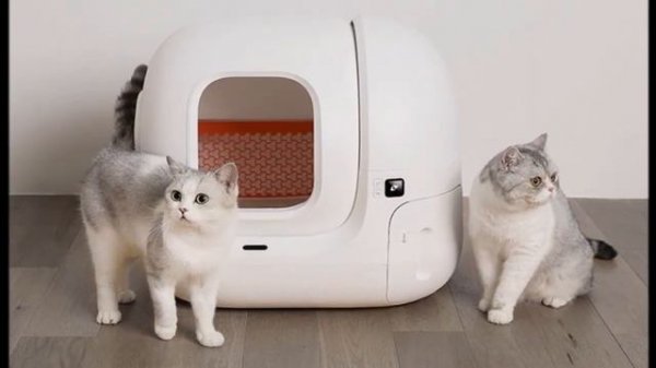 Top 5 BEST Smart Cat Litter Box of 2023