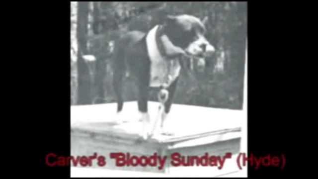 MAURICE CARVER - Pitbull Breeder - #pitbull #gamedog #apbt