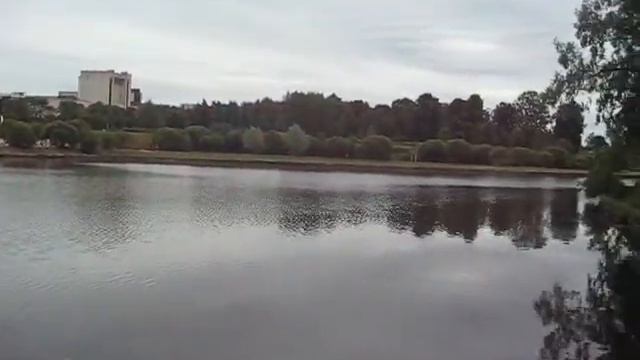 ТВЗ "Зеленоград". Дендрарий и пруд смотреть онлайн