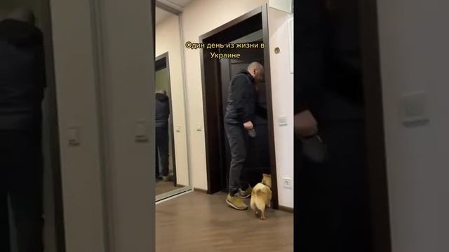 ? Воздушная тревога ? смотреть онлайн