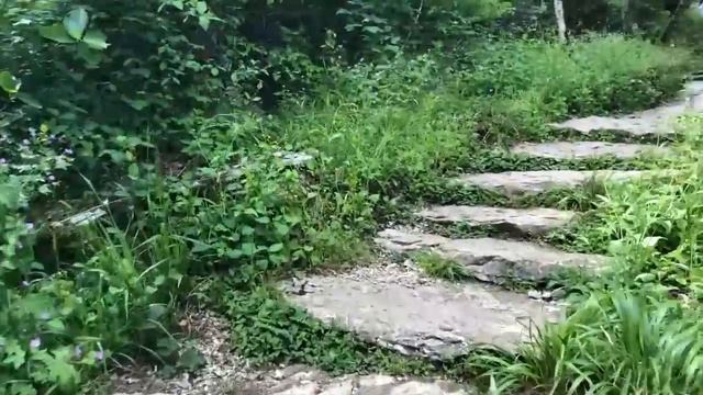  смотреть онлайн