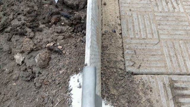 Как Избавиться От Муравьев С Помощью Манки в Теплице смотреть онлайн