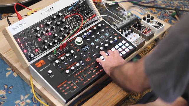crackle and hum || hydrasynth and subharmonicon ambient смотреть онлайн
