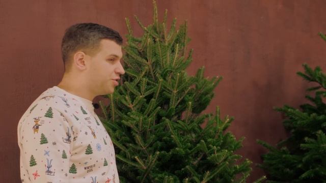 Пихта Нордманна или Пихта Фразера?