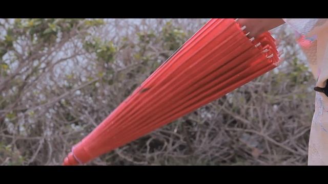 Ninja vs Samurai Warrior: "For A Cause" смотреть онлайн
